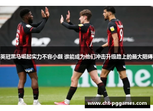 英冠黑马崛起实力不容小觑 谁能成为他们冲击升级路上的最大阻碍