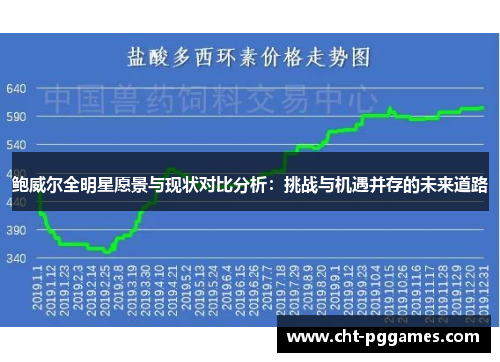 鲍威尔全明星愿景与现状对比分析：挑战与机遇并存的未来道路